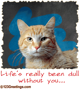 Life's Really Been Dull Without U - Adopt Me Today !